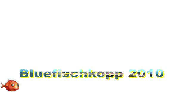 Bluefischkopp 2010