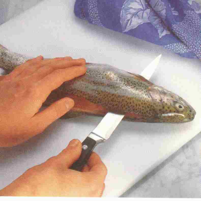 Vorbereitung Der Fische Zum R uchern Robertos Anglerforum