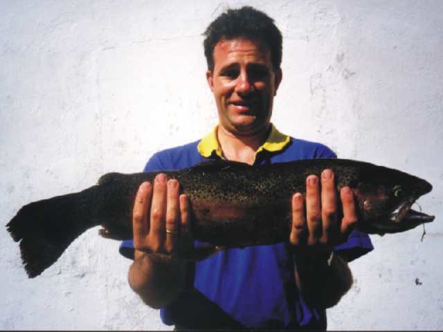 8Ego_fisch