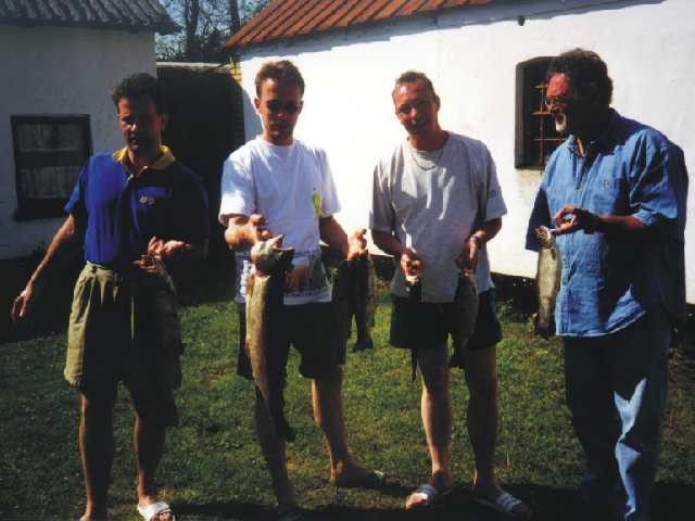 8Wir_fisch