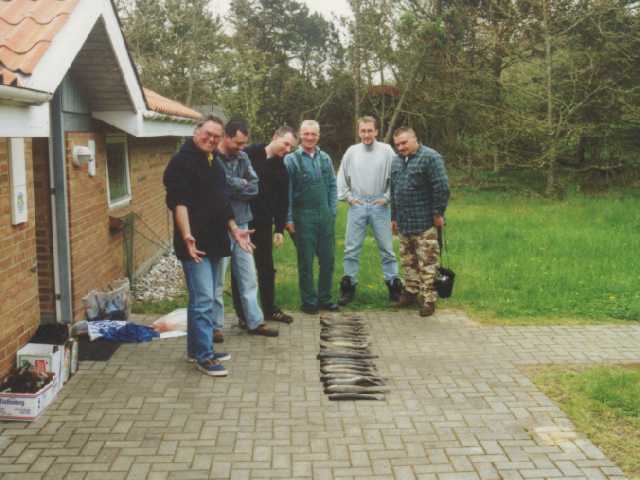 0Wir_vielfisch