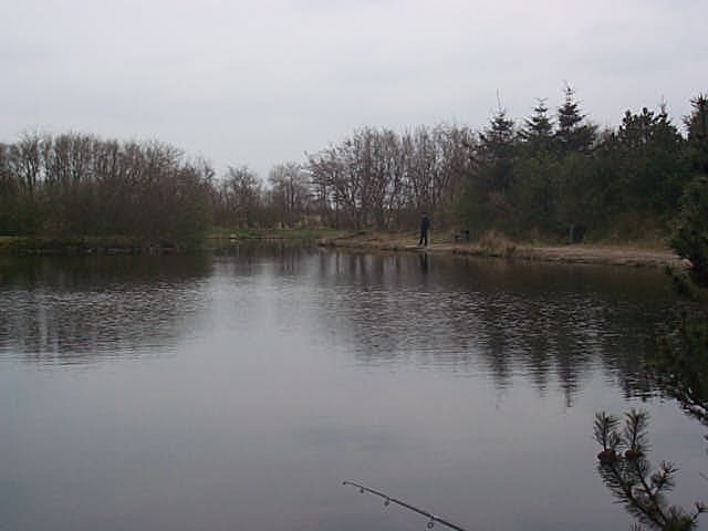 h3hemet_see