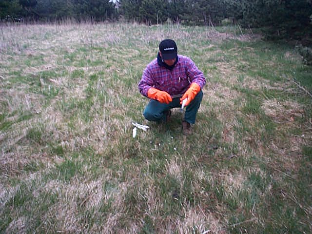 k7hering