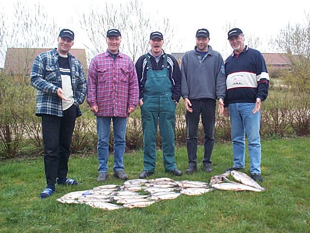 n2fisch_als_fisch