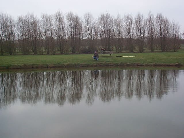 n6stauning